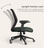 Curv Mesh Ergonomic Chair in Earthstone Finish