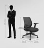 Curv Breathable Mesh Ergonomic Chair In Black Colour