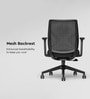 Curv Breathable Mesh Ergonomic Chair In Black Colour