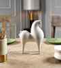 Curvatura Horse White Polyresin Figurine