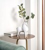 Curvatura Horse White Polyresin Figurine