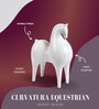 Curvatura Horse White Polyresin Figurine