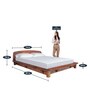 Curve Sheesham Wood Queen Size Bed in Rich honey Finish