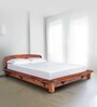 Curve Sheesham Wood Queen Size Bed in Rich honey Finish