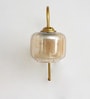 Curved Brass Gooseneck Glass Wall Light