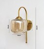 Curved Brass Gooseneck Glass Wall Light