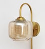 Curved Brass Gooseneck Glass Wall Light