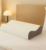 Curvy Con Memory Foam 24 x 16 Inch Pillow