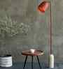 Cusp Floor Lamp