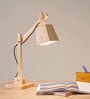 Cute Study Lamps