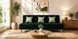 Cyrus 3 Seater Sofa Cum Bed Green Color