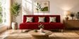 Cyrus 3 Seater Sofa Cum Bed Maroon Color