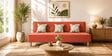 Cyrus 3 Seater Sofa Cum Bed Rose Color