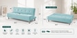 Cyrus 3 Seater Sofa Cum Bed Teal Color