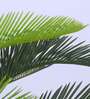 Artificial Cycas Palm Tree Plant with Black Pot