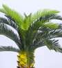 Artificial Cycas Palm Tree Plant with Black Pot