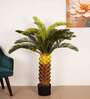 Artificial Cycas Palm Tree Plant with Black Pot
