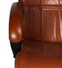 Cynashore Ergonomic Chair in Brown