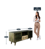 Cynthia Hand Painted Tv Console In Rustic Green Colour -