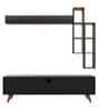 D3 Tv Unit In Black And Canyon Oak Finish
