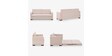 Daisy Fabric Pull-Out Sofa Cum Bed in Sunny Beige Colour