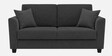 Daku Velvet Fabric 2 Seater Sofa In Grey Colour