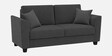 Daku Velvet Fabric 2 Seater Sofa In Grey Colour