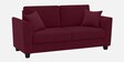 Daku Velvet Fabric 2 Seater Sofa In Maroon Colour
