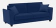 Daku Velvet Fabric 3 Seater Sofa In Beige Colour
