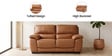 Dallas 2 Seater Sofa In Terracotta Colour