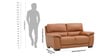 Dallas 2 Seater Sofa In Terracotta Colour