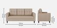 Darcy Fabric 3 Seater Sofa in Beige Colour