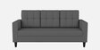 Darcy Fabric 3 Seater Sofa in Grey Colour