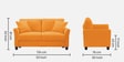 Daroo Velvet 2 Seater Sofa in Tangerine Orange Colour