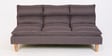 Darwin Fabric Convertible Sofa Cum Bed In Grey Colour