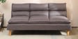 Darwin Fabric Convertible Sofa Cum Bed In Grey Colour