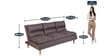 Darwin Fabric Convertible Sofa Cum Bed In Grey Colour