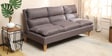 Darwin Fabric Convertible Sofa Cum Bed In Grey Colour