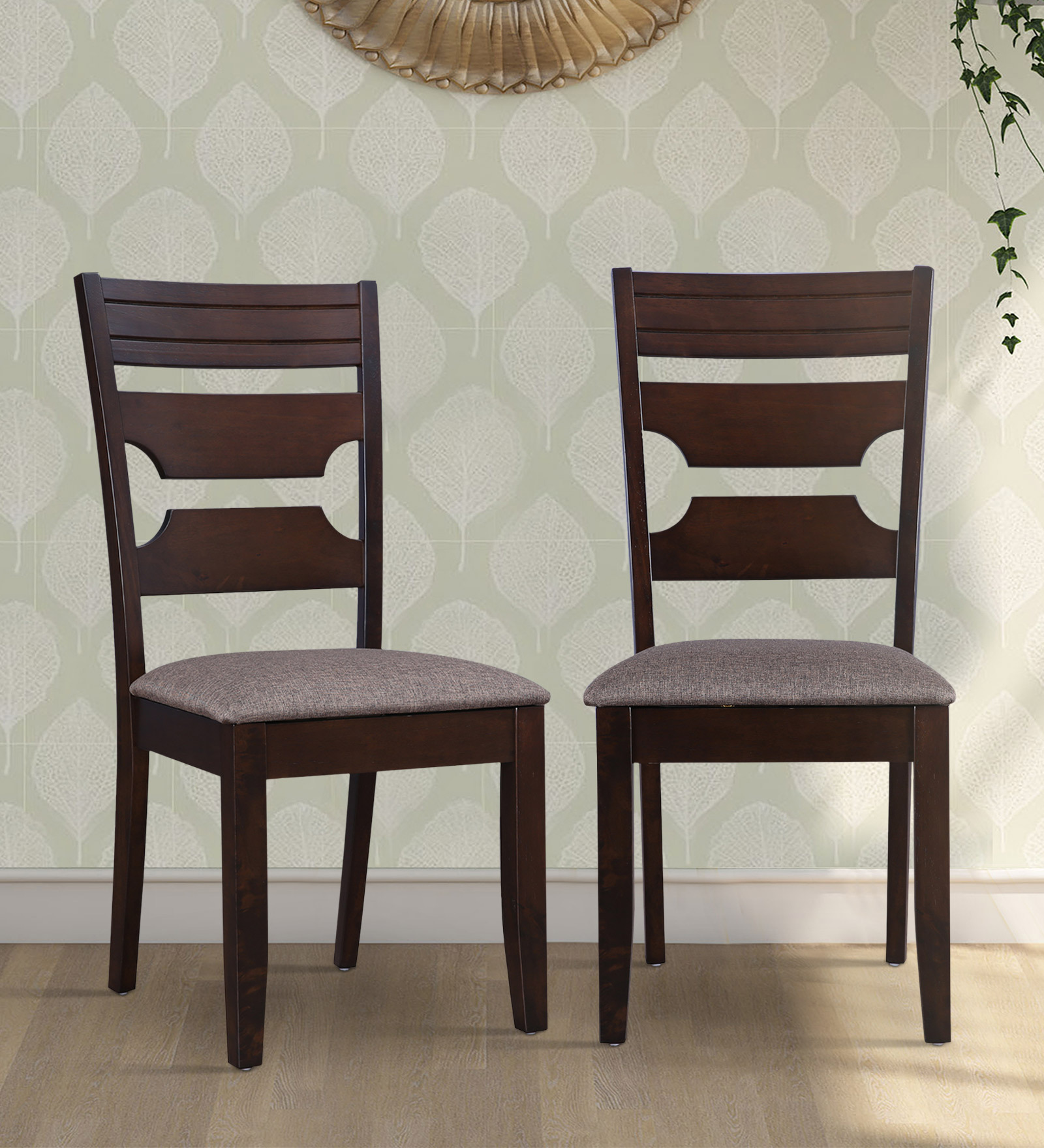 Darwin Solid Wood Dining Chair Set of 2 in Dark Walnut Colour