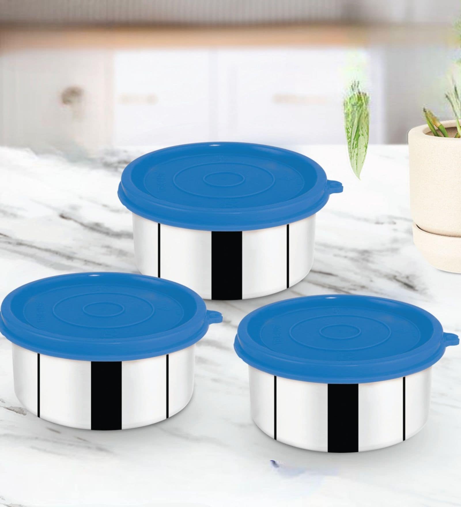 Day To Day  Blue Stainless steel ( Set of 3 )  Storage Container