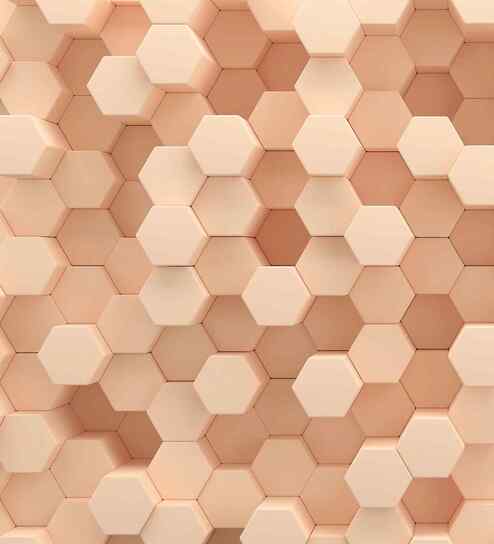 Dapper Dingo Design Subtle Elegance Modern Style Wallpaper