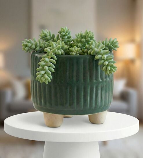 Dark Green Ceramic Indoor Planter with Drainage