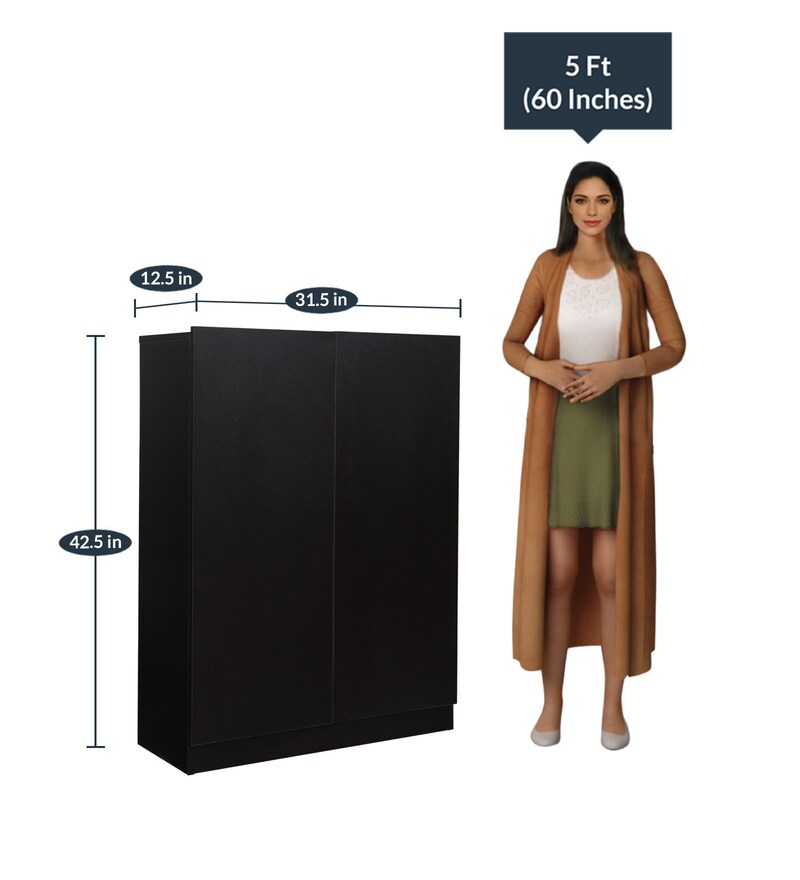 Buy Daiso Two Door Shoe Rack In Wenge Colour By Mintwud Online Modern