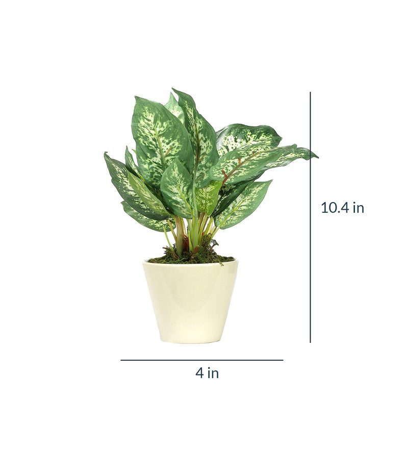 Buy Dark Green Polyester Dieffenbachia Artificial Plant With Ceramic
