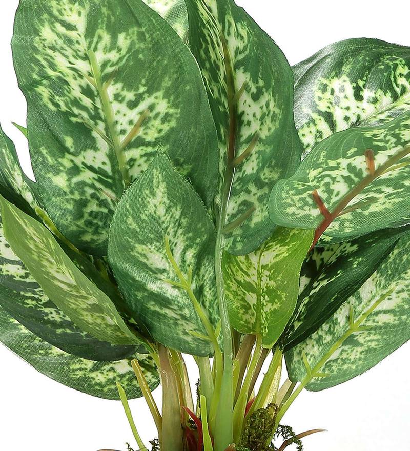 Buy Dark Green Polyester Dieffenbachia Artificial Plant With Ceramic