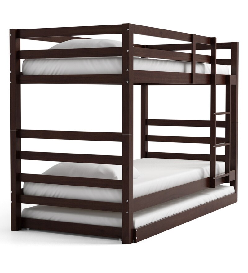 Buy Dave Bunk Bed with Trundle in Walnut Finish CasaCraft By