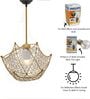 Daffodil Gold Crystal Hanging Light