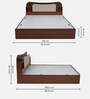 Daffodil Queen Size Bed in Walnut Finish with Headboard & Box Storage
