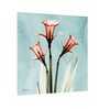 Daffodil Red Painting Modern Canvas Floral Wall Art Archival Print, Wall Painting For Living Room D cor