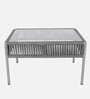 Daiden Steel & Braided Rope Sofa Set In Grey Finish With Pillow